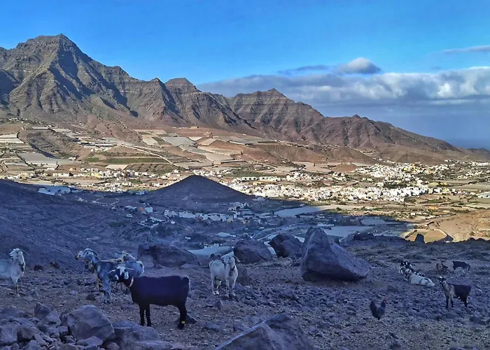 De Pepeylola * Λας Πάλμας ντε Γκραν Κανάρια