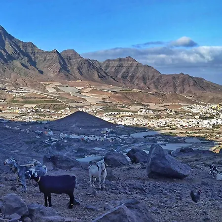 De Pepeylola * Las Palmas de Gran Canaria